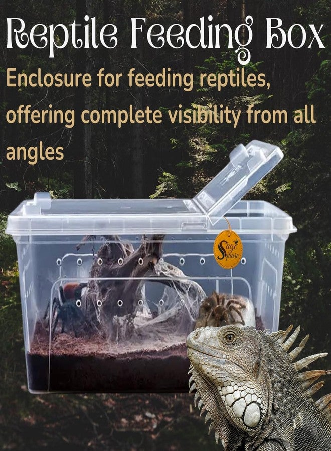 Sage Square Transparent Turtle Enclosure: Create a Crystal-Clear Habitat for Your Aquatic Companion, Offering an Unparalleled Perspective into Their Underwater Domain, Offering an Unobstructed View - Image 3